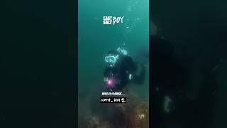 이런 개해제 본 적 있어? #스쿠버다이빙 #scubadive #개해제 #하우딥 #다이빙 #film #유튜버 #바다