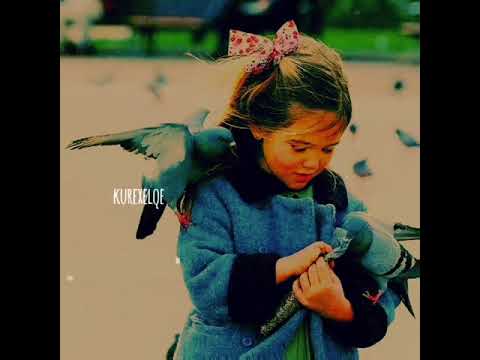 En Güzel Whatsapp Durumu Kürtçe Duygusal Kısa Aşk Şarkısı 2021 !!