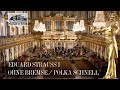 Capture de la vidéo Eduard Strauss I : Ohne Bremse / Polka Schnell Op. 238 | Musikverein | #Nyc2024 | #Newyearsconcert ♫