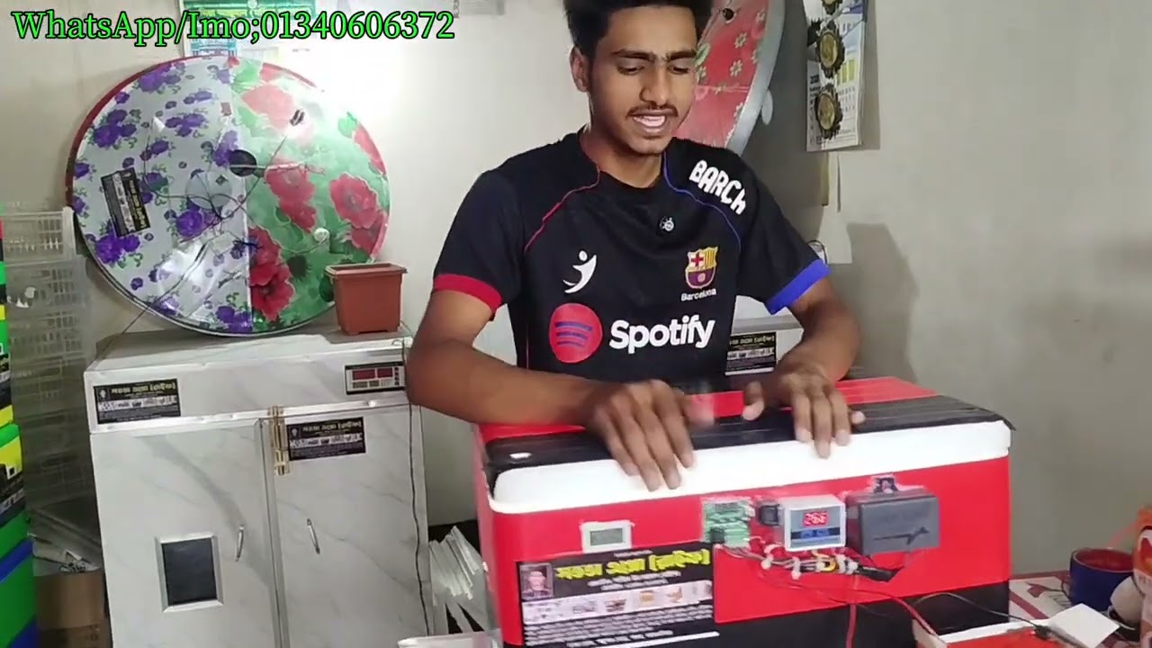 ACDC/AC সেমি অটোমেটিক  ইনকিউবেটর। হাসঁ মুরগী ৮০/১০০ পিস এবংকোয়েল পাখির ২২০/২৫০ পিস ডিম ফুটানোর মেশিন