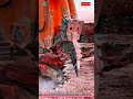 Hydraulic Rock Breaker 12,000 Joule Impact Force with Protective Shield