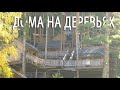 Лесная сказка - велосезон. Вид с квадрокоптера. Качество 4к. Алматы 2020.