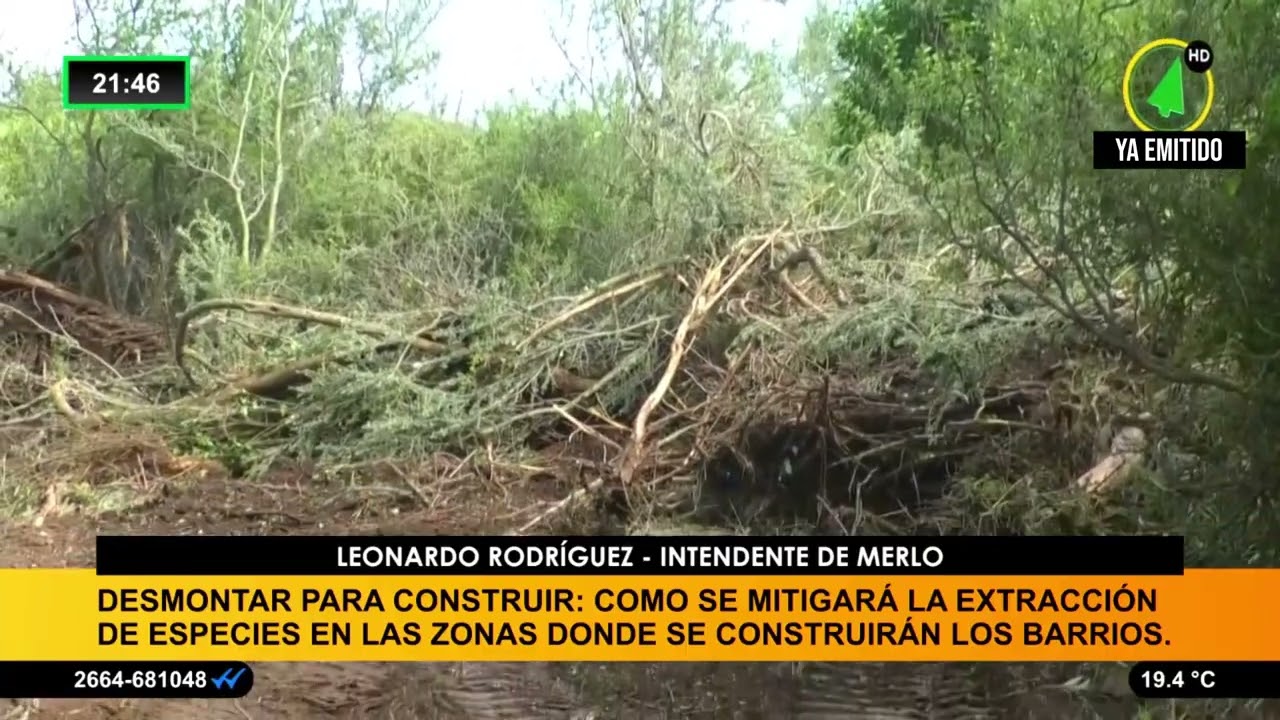 Desmontar para construir: como se mitigará la extracción de especies donde construirán los barrios.