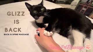 Cat Scratching ASMR Back and Shoulder Massage by SandyPetMassage 1,970 views 1 year ago 6 minutes, 55 seconds