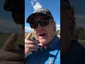 How to increase Driver Distance? Walk & Golf!