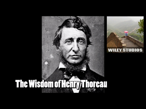 The Wisdom of