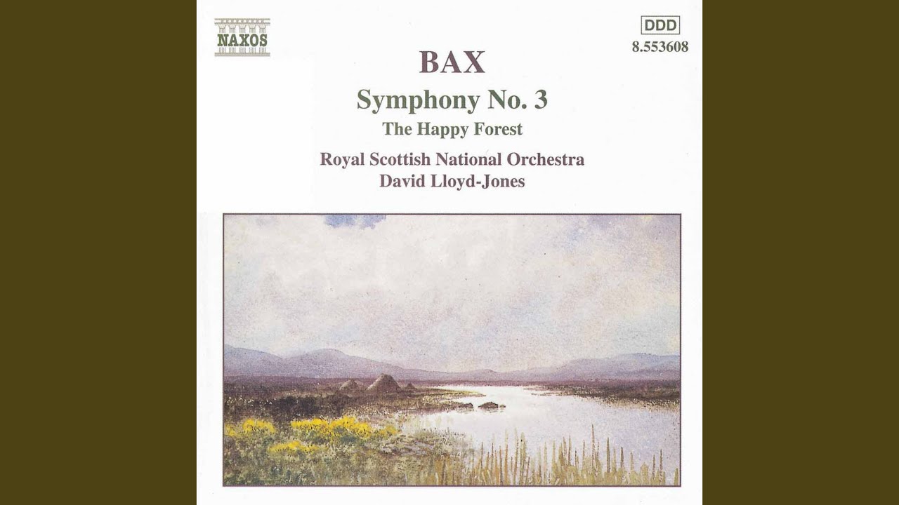 Symphony No. 3: I. Lento moderato - Allegro moderato - Allegro feroce ...