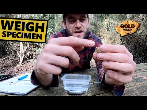 How to Estimate Gold Specimens Weight Using Specific Gravity