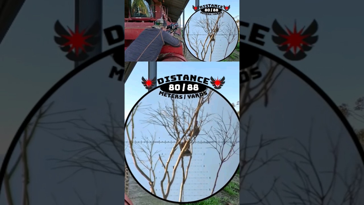 SUPER ACCURATE FX IMPACT M4 COMPACT | AIRGUN PEST CONTROL