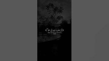 حالات واتس قران كريم بصوت جميل 😌🤍 | قران حالات واتس || حالات واتساب قران || راحه نفسيه