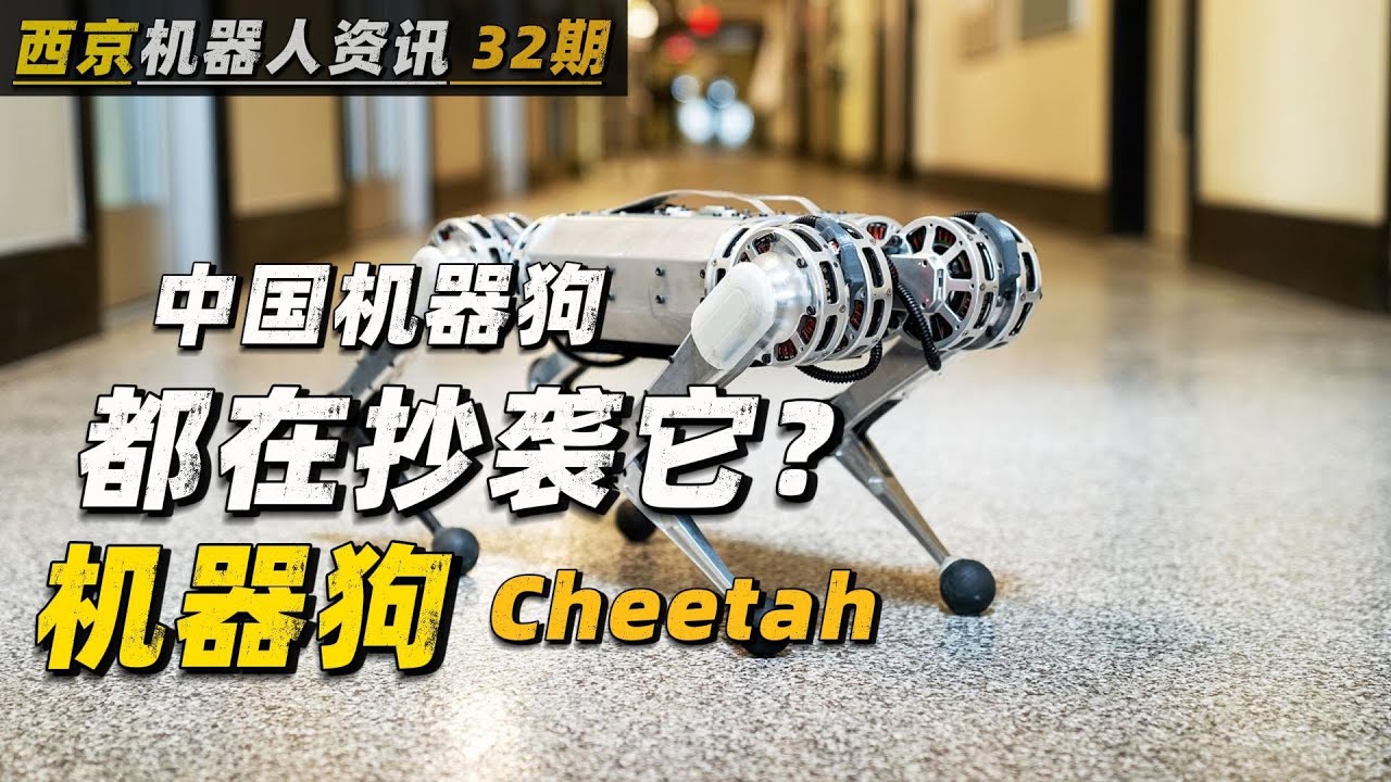 中国机器狗都抄它? | 美国麻省理工学院 | 开源机器狗 Cheetah | 机器狗 | 四足机器人 | 机器人 | 波士顿动力 | 宇树科技 | 云深处科技 | 开源机器狗 | 中国机器人