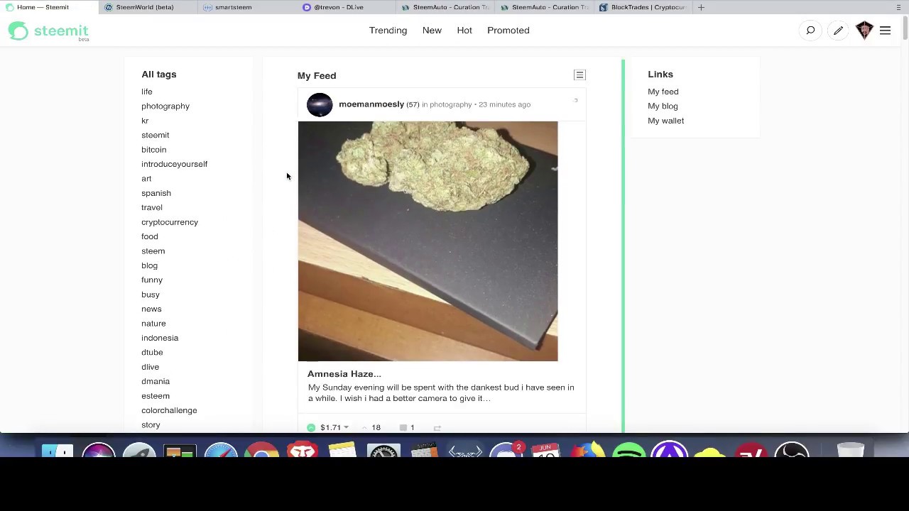 SET UP STEEM ACCOUNT FOR MAX EARNINGS
