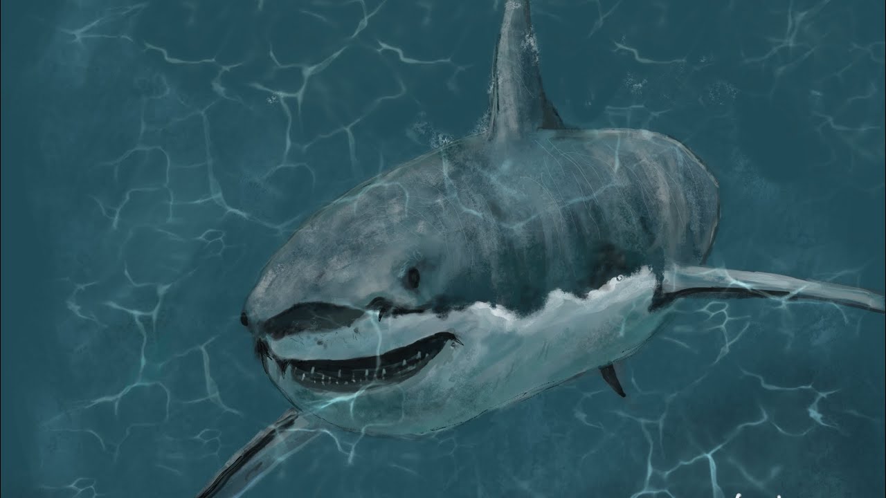 Painting a white shark with procreate - YouTube