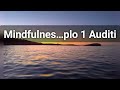 CURSO DE MEDITACIÓN MINDFULNESS. AUDIO 1º