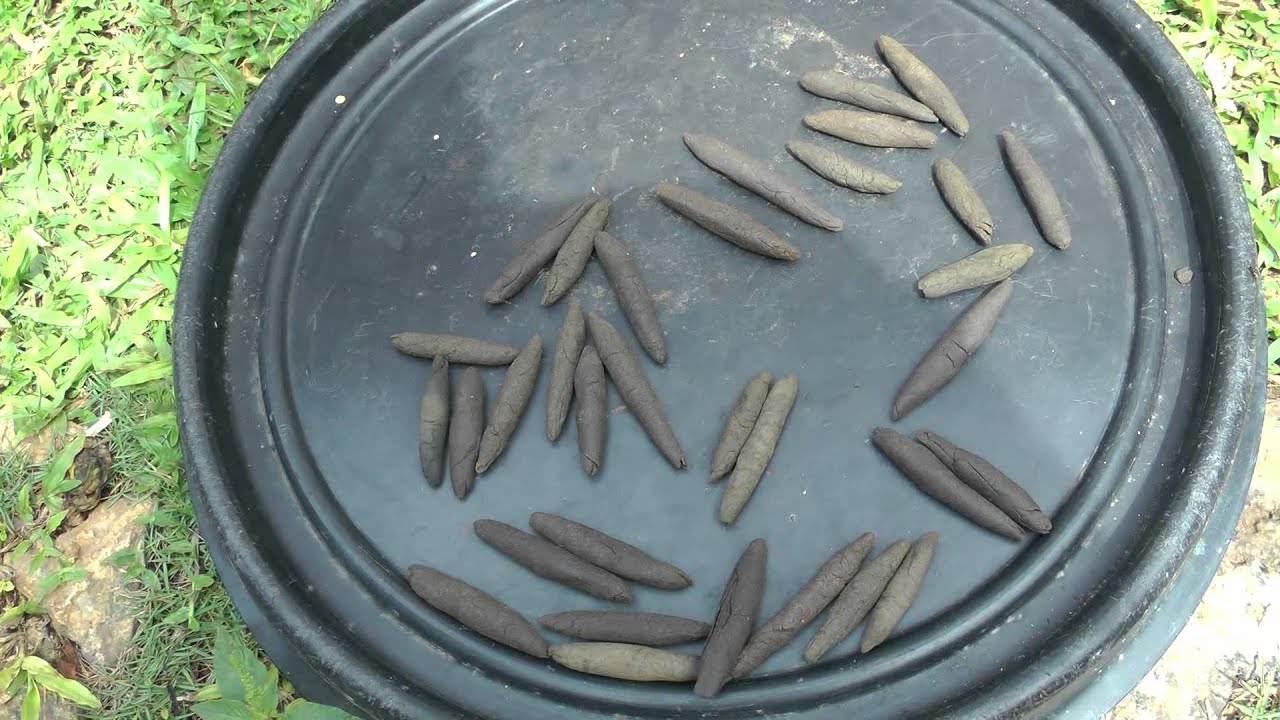 Jamaica 2014 More Hashish