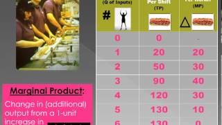 Unit 4 Topic 1: The Production Function