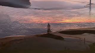 Early morning at Terrigal. People and dogs enjoying the beach. Sunrise.