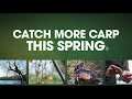 Catch more carp this spring  1hour of valuable information from a variety of anglers