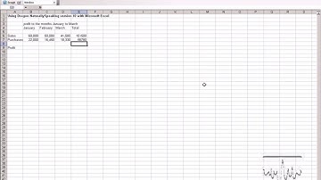 Dragon NaturallySpeaking Version 10 in Microsoft Office 2003