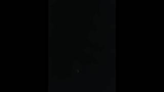 Vreemd Geluid Nu Ook In Lelystad