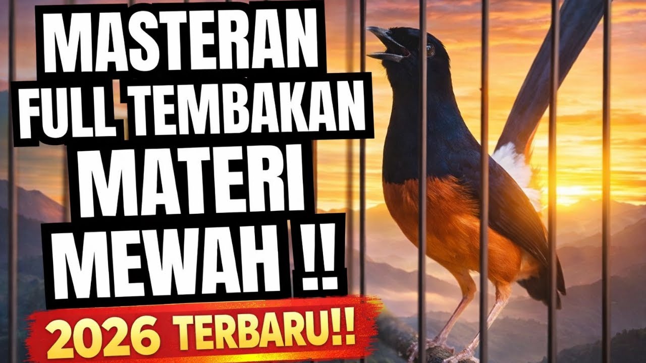 MASTERAN MURAI BATU MEWAH TERBARU paling disukai JURI 2026 full TEMBAKAN KASARAN SUARA JERNIH