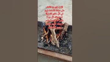 اللهمّ هوّن برد الشّتاء على عبادك المُستضعفِين في كُلّ مكان، #quran #قران_ #تلاوات #اكسبلور #لايك