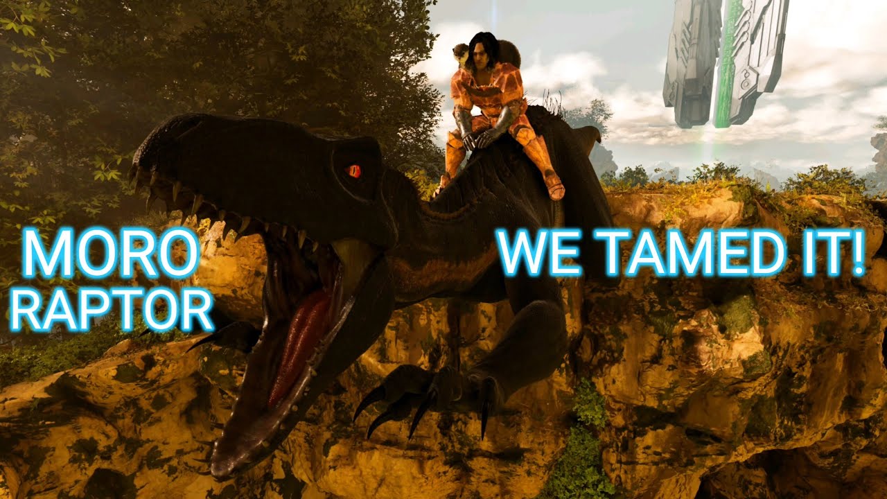 Finally Taming The Moro Raptor And Its A BEAST! - YouTube