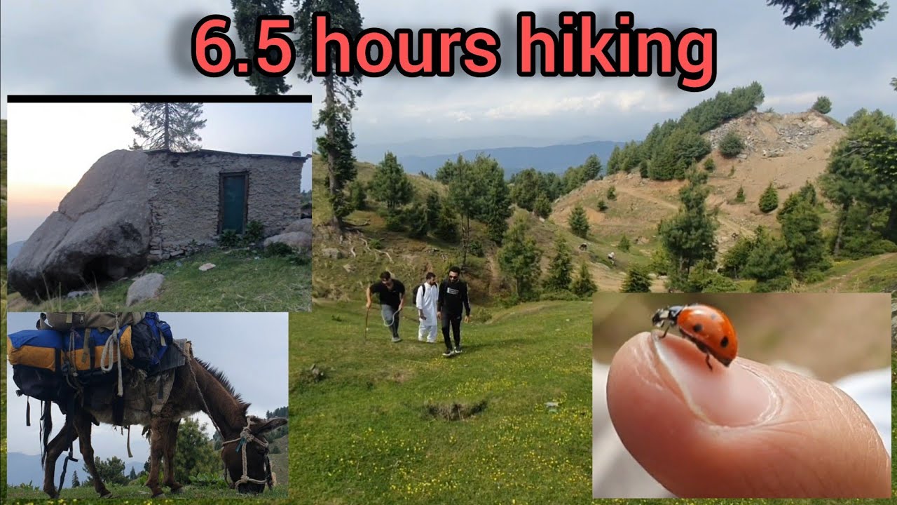 Kharab Raste Siri top Mansehra Biggest Mountain || 6.5 hours ka Pedal Safar || Raste ...