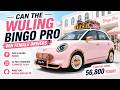 Can the Wuling Bingo Pro Win Female Drivers?