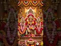 Aiyaa|Muruga 🙏🪔Neeye en thunai