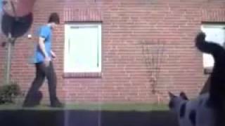 Breakdance Cat Attack 2013