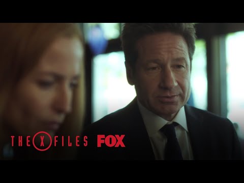 Scully & Mulder
