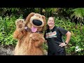 How to Get Free Days and Dining Credits at Major Theme Parks