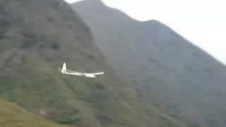 Condor soaring in MOS