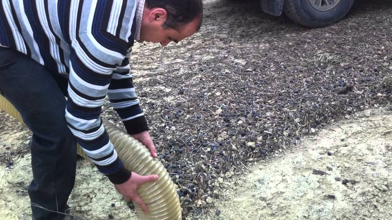 Prototipo Aspiradora Aceituna II