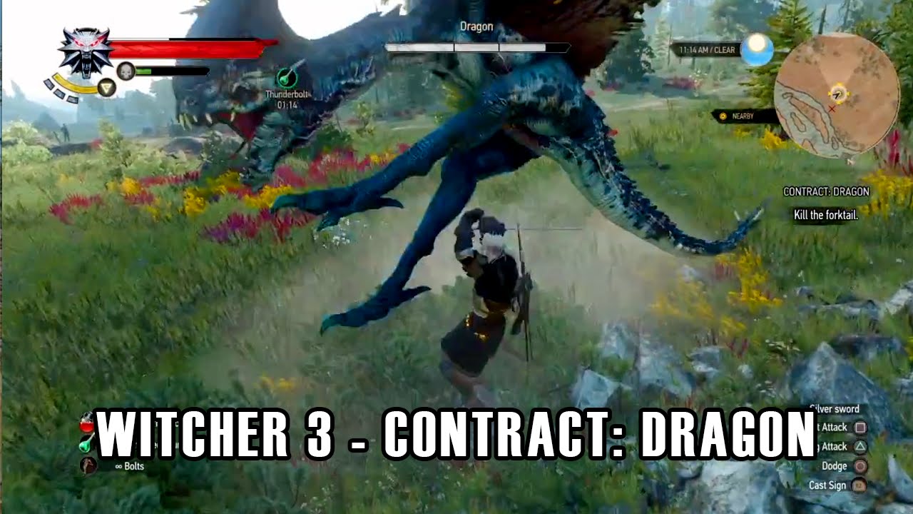 The Witcher 3 Wild Hunt Contract Dragon Youtube