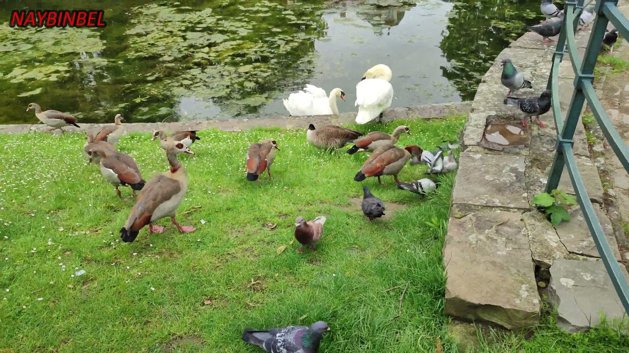 Parc Léopold (Bruxelles) et Quartier Européen beauté pittoresque et nature époustouflante