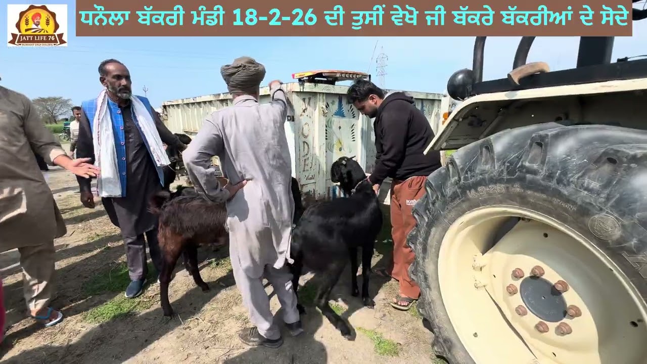 ਧਨੌਲਾ ਬੱਕਰਾ ਮੰਡੀ 18-2-26 ਦੀ ਵੀਡੀਓ ਤਹਾਨੂੰ ਖਰੀਦ ਬੇਚ ਕਿਵੇ ਦੀ ਲੱਗੀ ਜੀ ਕਮੈਟ ਕਰਕੇ ਜਰੂਰ ਦੱਸੋ 🐐🤙
