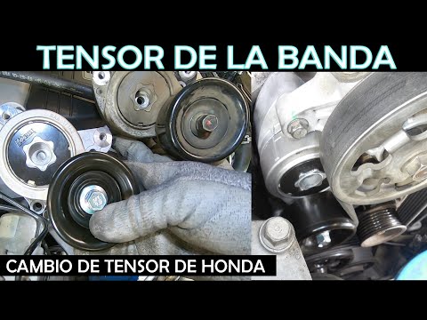 Video: ¿Cómo saber cuándo reemplazar un tensor de correa?