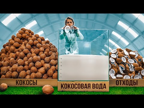 СКОЛЬКО СЛАДКОЙ ВОДИЧКИ В 1000 КОКОСАХ?