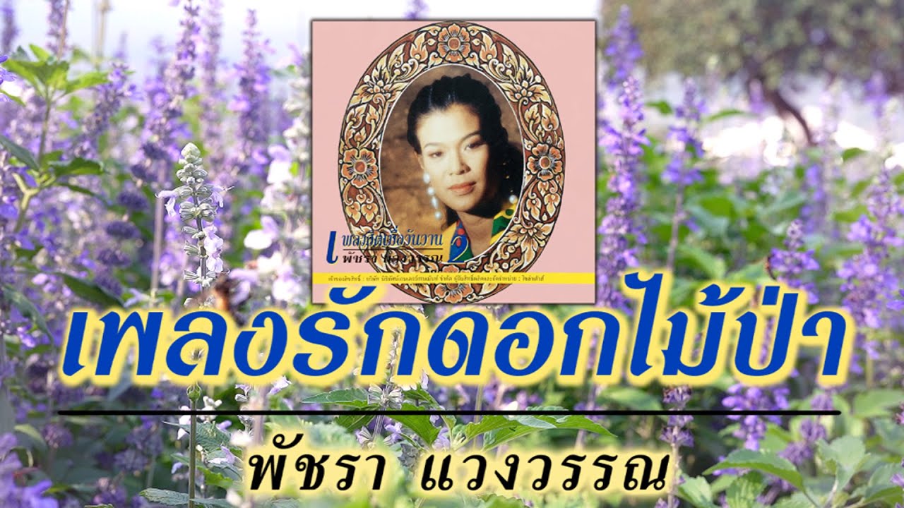 เพลงรักดอกไม้ป่า - พัชรา แวงวรรณ [ Official Audio ]