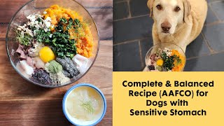 Complete & Balanced Dog Food Recipe (AAFCO) for Dogs with Sensitive Stomach