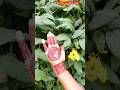 Beautiful 😍❤️ Mehndi Design #shortvideo #you tube #mehndi Hub #shortvideo