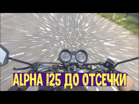 Musstang Alfa FIT MT125-8 максимальная скорость по gps
