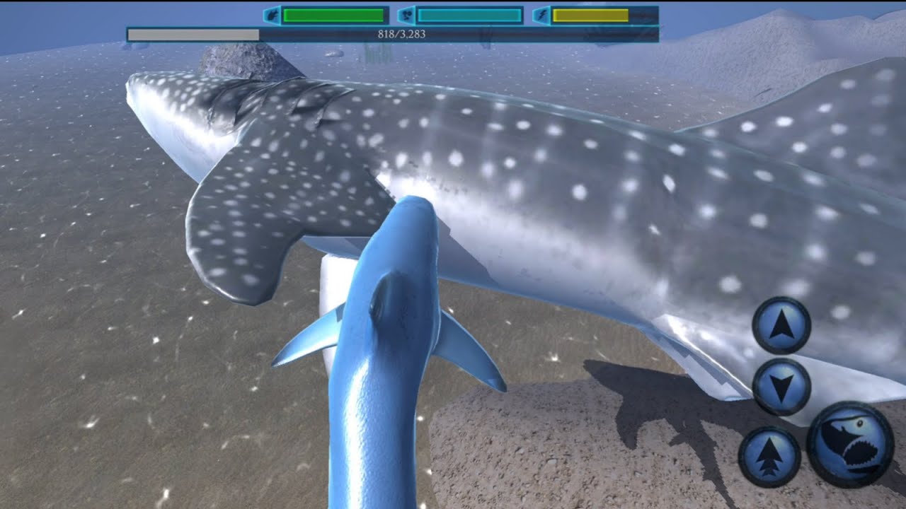 NEW ULTIMATE SHARK SIMULATOR GAMEPLAY WITH HIGH GRAPHIC - YouTube
