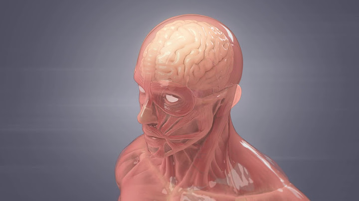 How Meningitis Spreads | WebMD