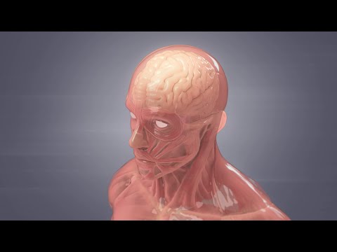 Video: Kodėl meningitas yra mirtinas?
