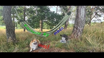 Portenta h7 PWM issue = mbed core issue!