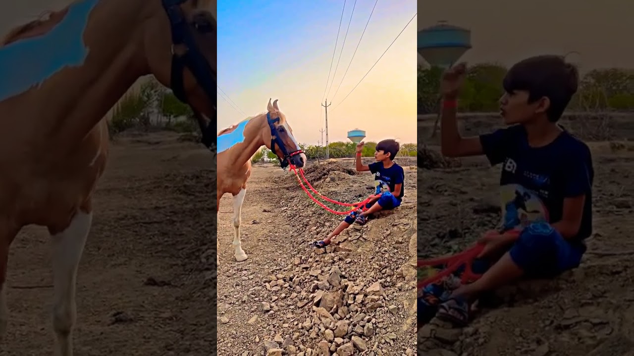 kudva vala ghoda kathiyavadi ghoda ghoda no sokhin aswapremi ghoda na video horse riding trending