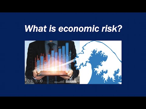 Video: Economic risk - what is it? Types of economic risks